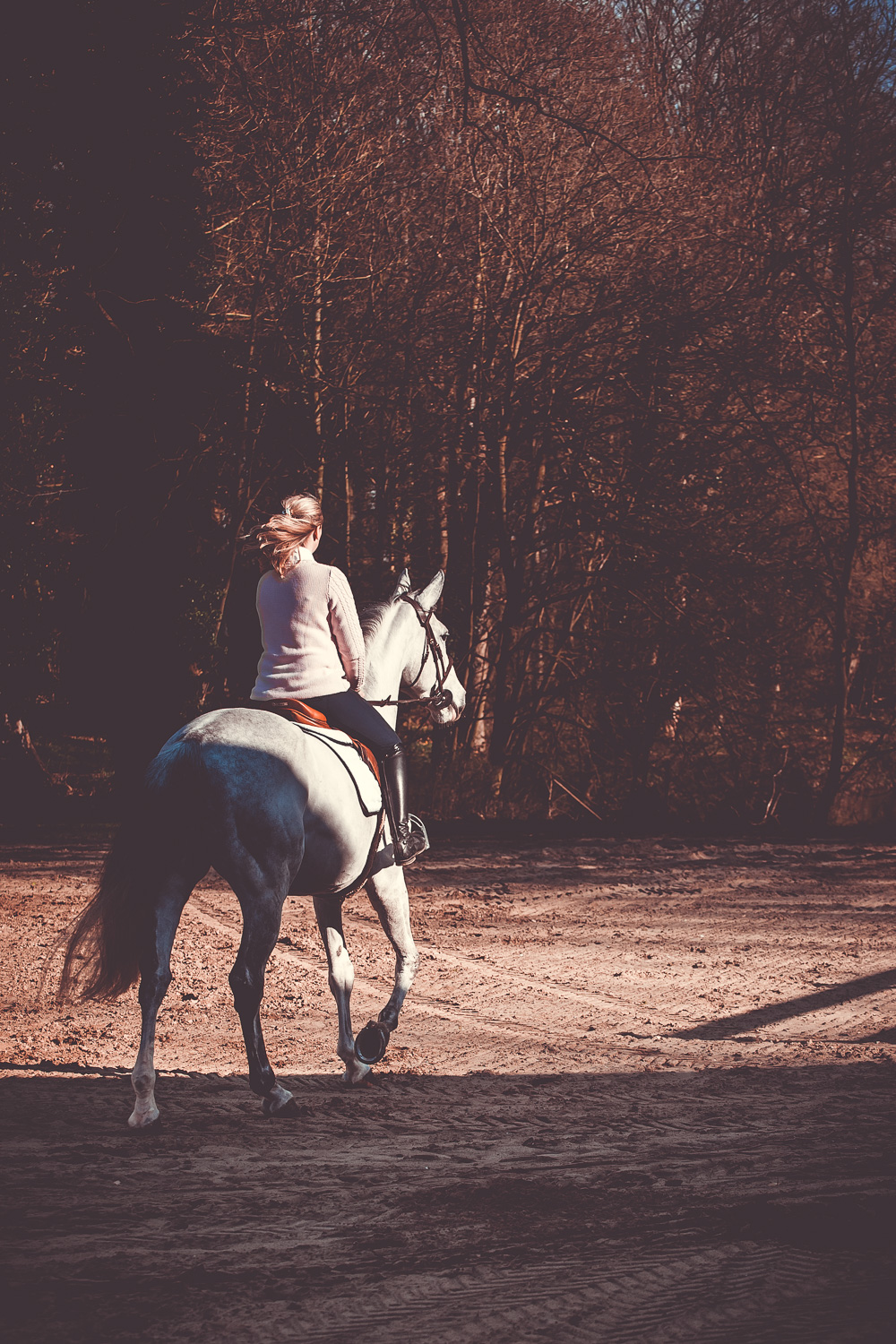 Jeune fille et son cheval