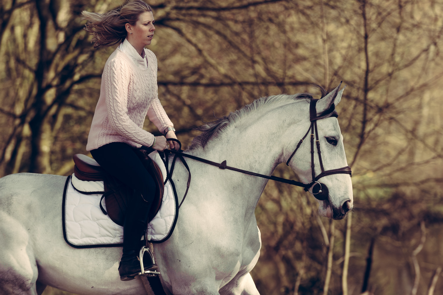 Jeune fille sur jument grise au galop