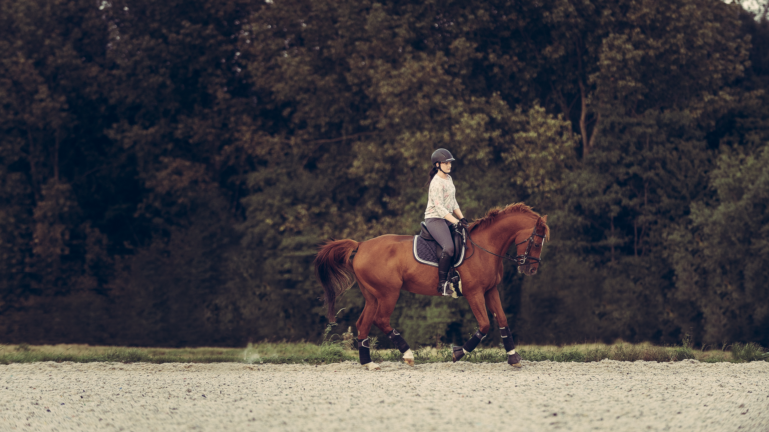 Cheval alezan et cavalière