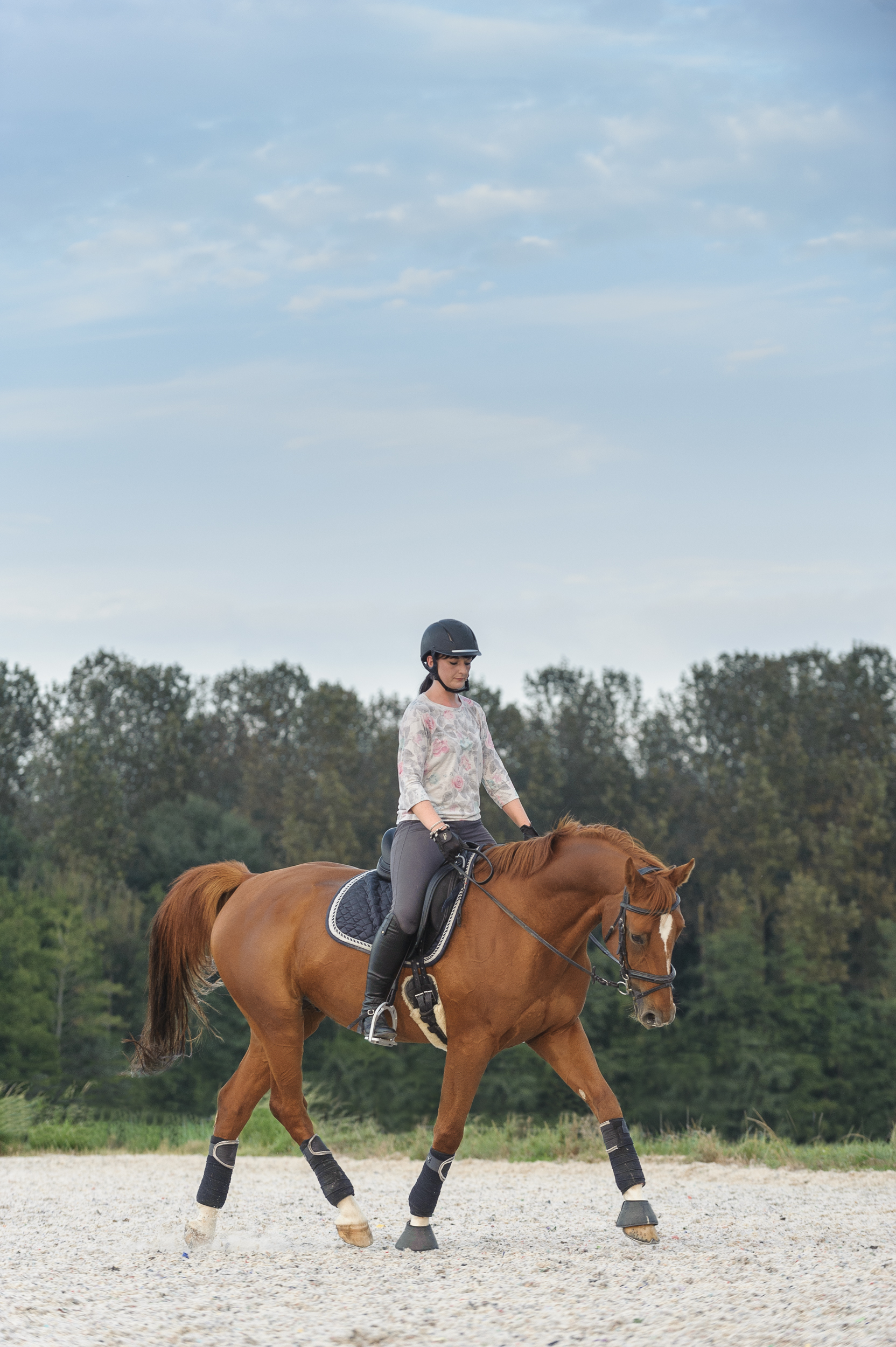 Cheval alezan et cavalière