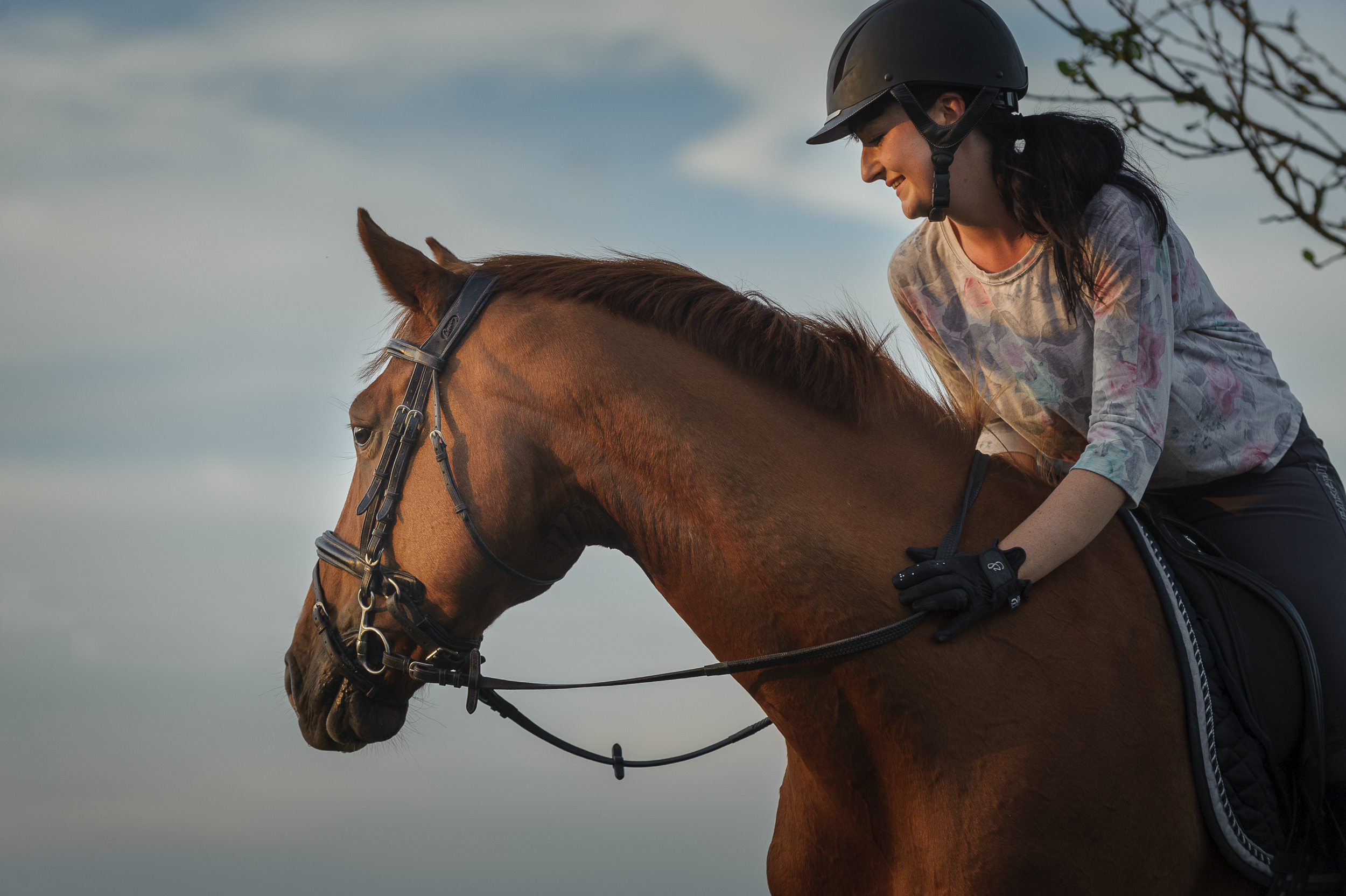 Cheval alezan et cavalière