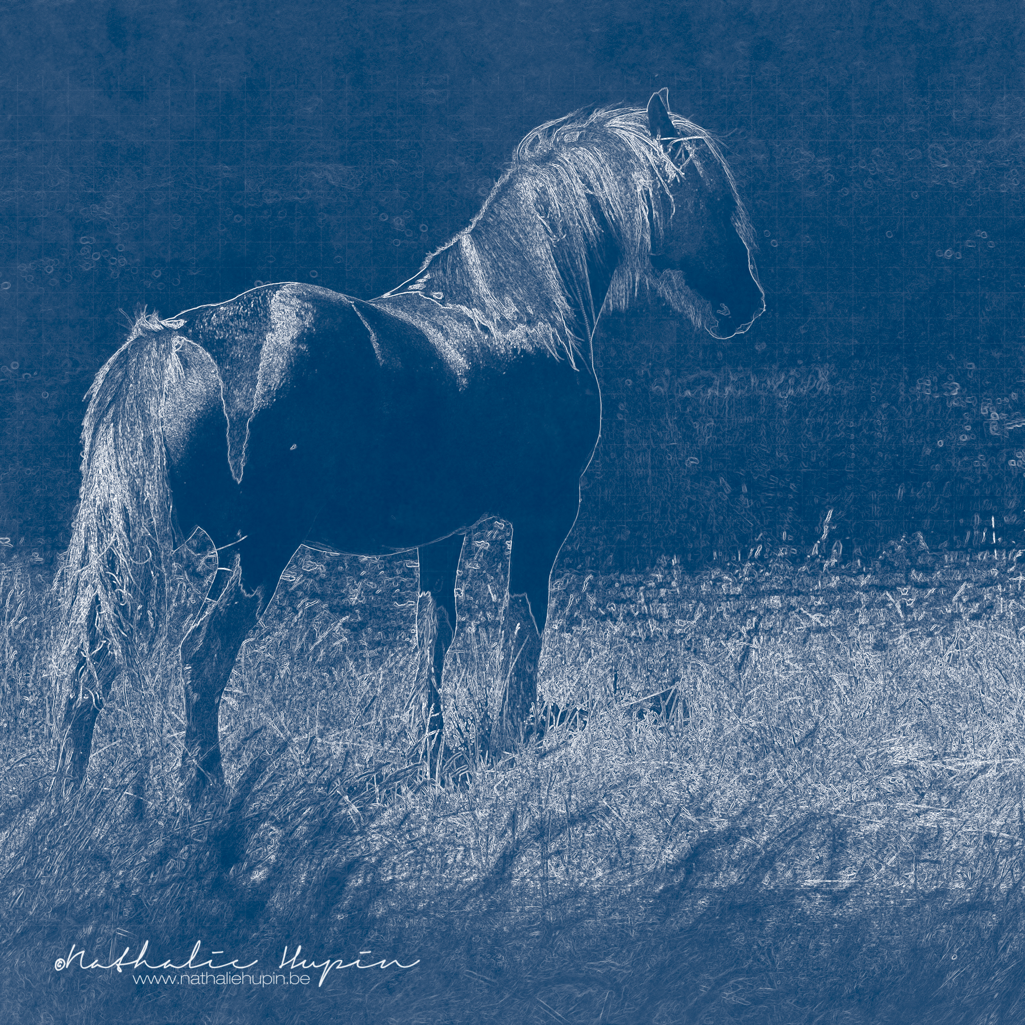 Cheval blueprint