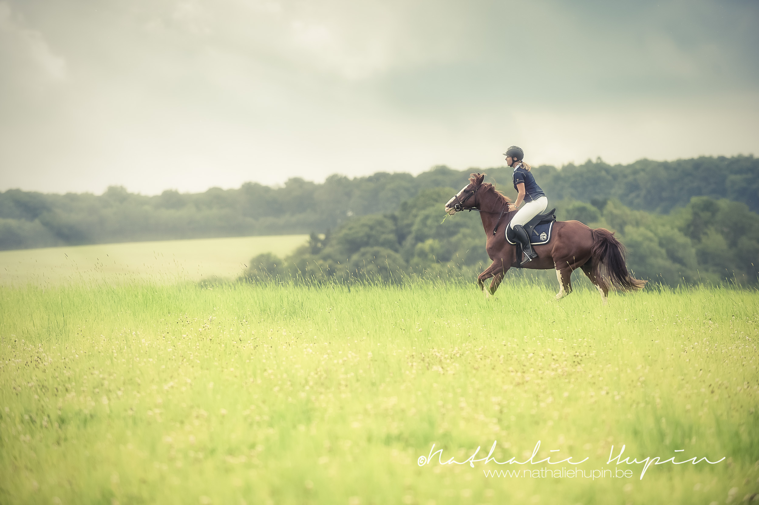 Galop vers les terrils